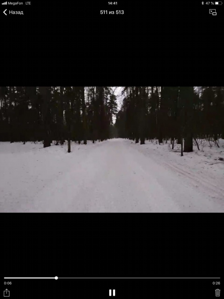 Черный 33 впрогнозе