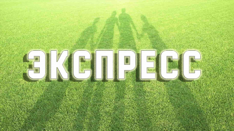 Что такое экспресс на ставках