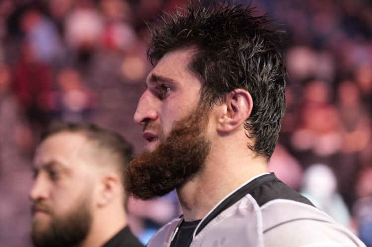 Прогноз ufc на сегодня