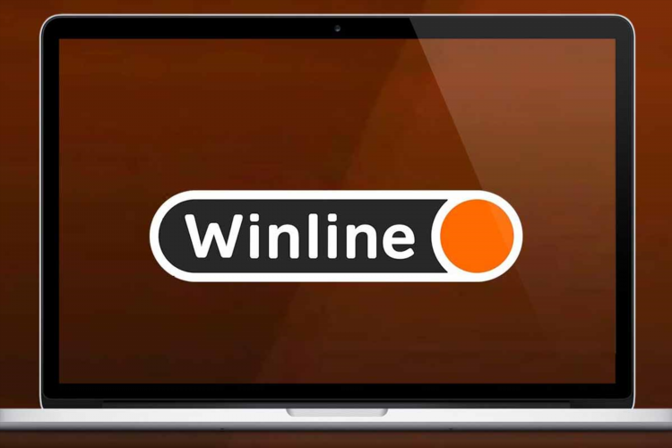 Winline вход в личный кабинет с андроида